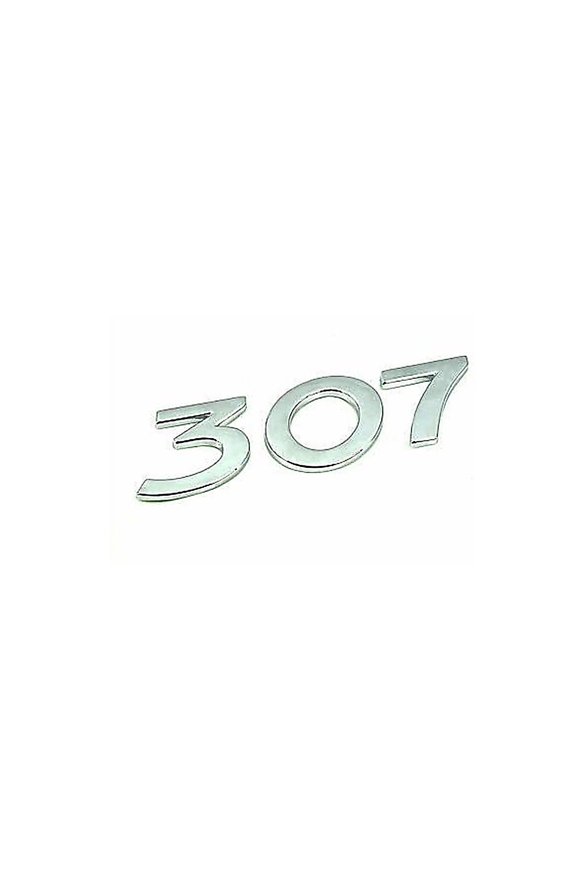 BAGAJ YAZISI P307